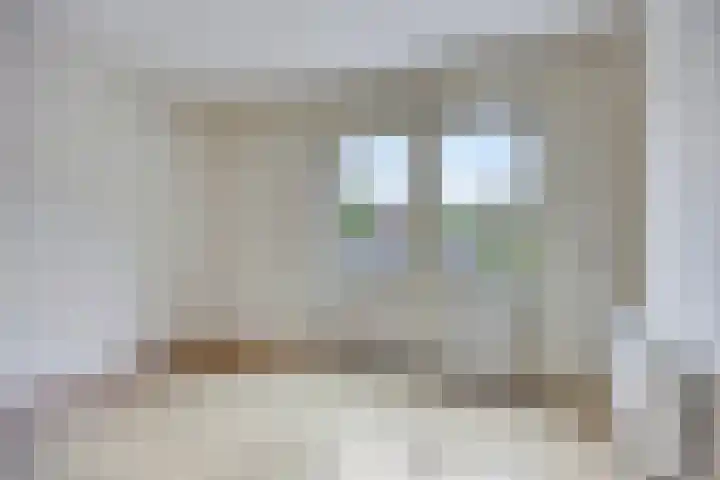 Brinkstraat 21 Diever thumbnail 15
