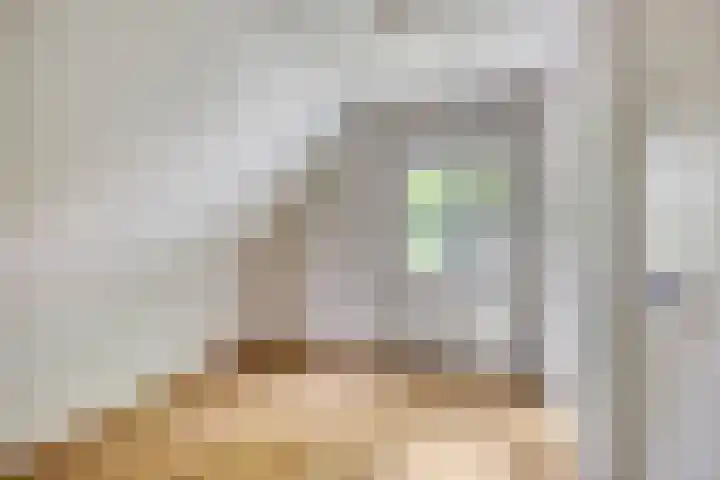 Brinkstraat 21 Diever thumbnail 23
