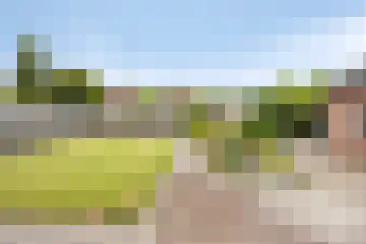 Brinkstraat 21 Diever thumbnail 28