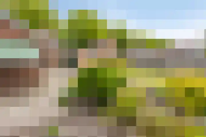 Brinkstraat 21 Diever thumbnail 30