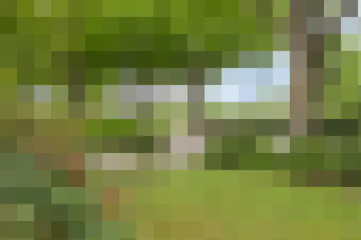 Brinkstraat 21 Diever thumbnail 32