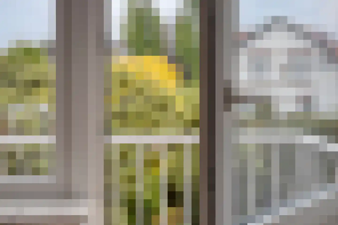 Brinkstraat 22 Denekamp thumbnail 23