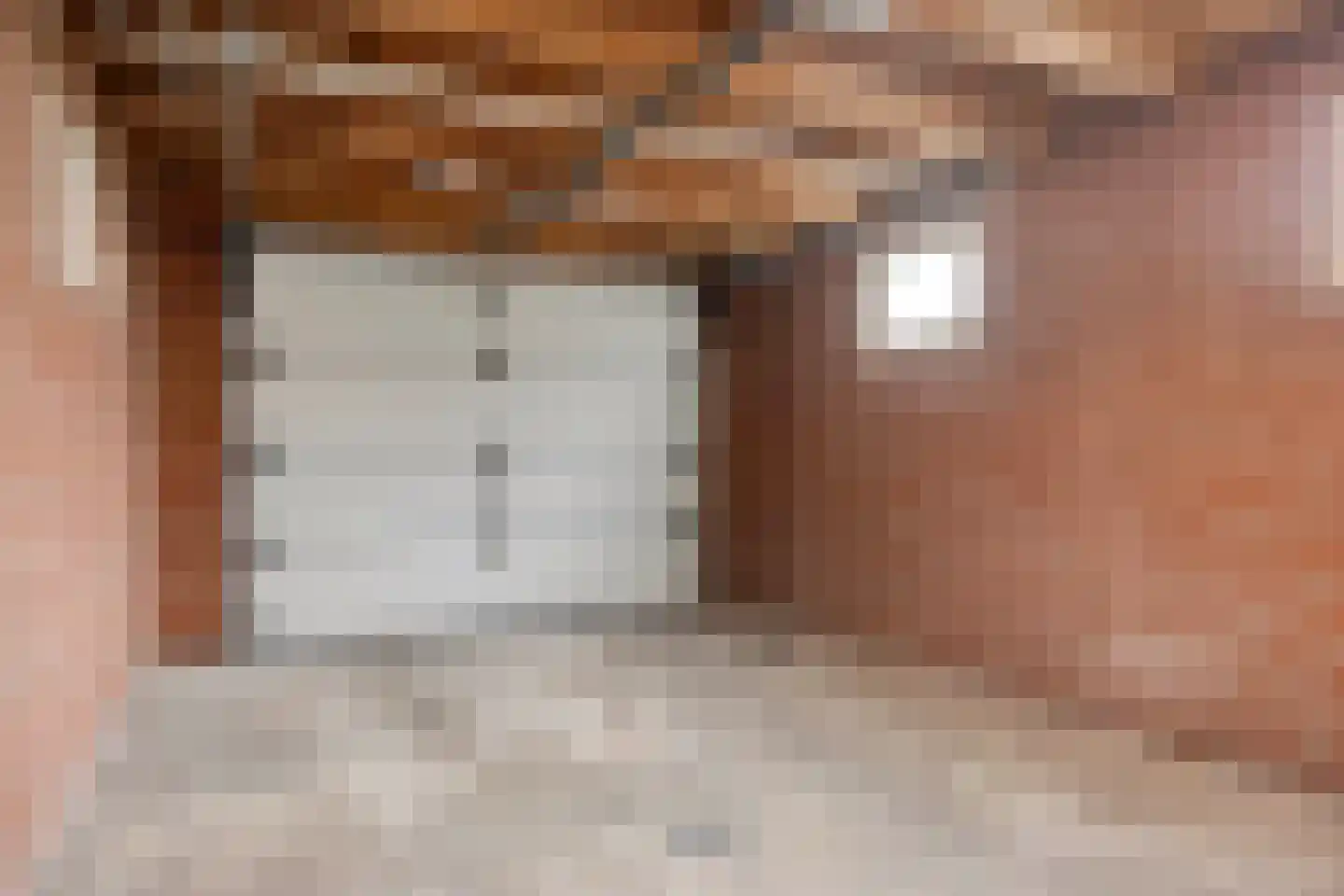 Brinkstraat 22 Denekamp thumbnail 35