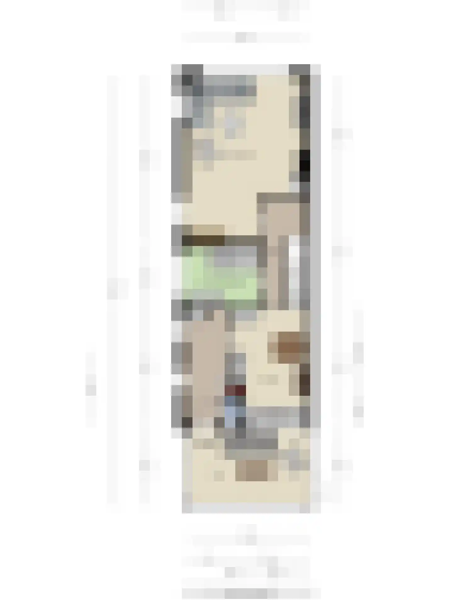 Brinkstraat 22 Denekamp thumbnail 44