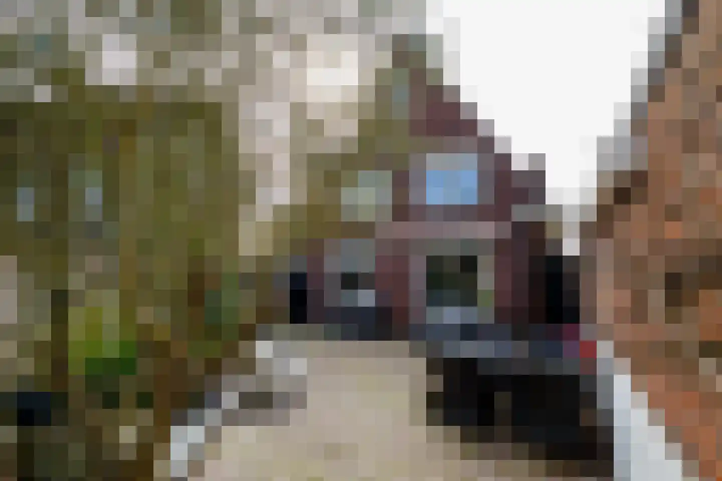 Brinkstraat 255 Enschede thumbnail 35