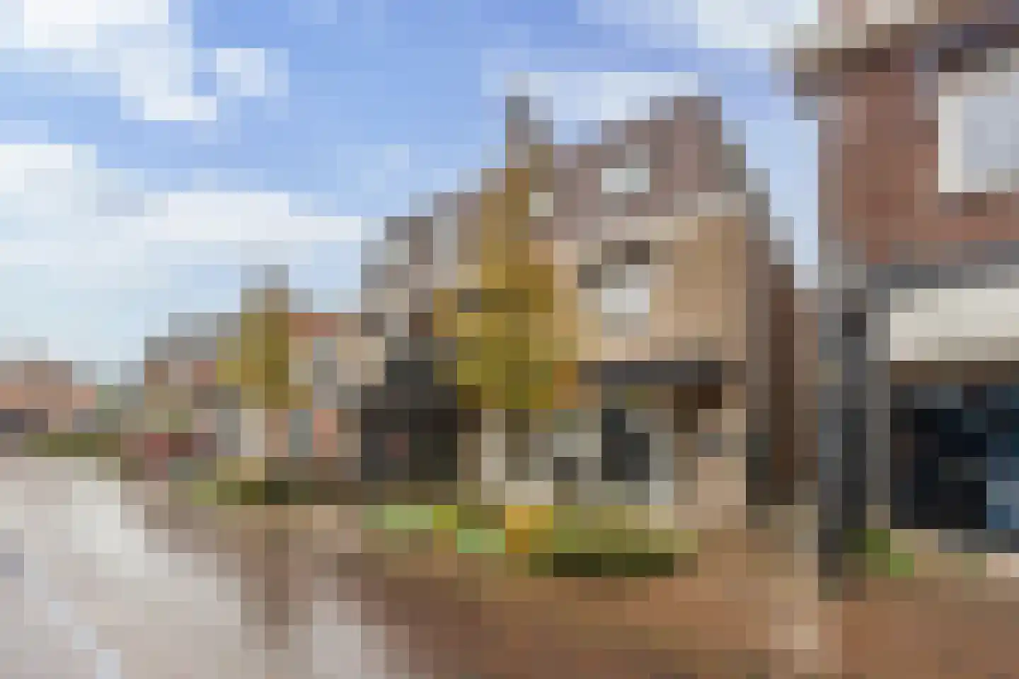 Brinkstraat 30 A Losser thumbnail 10