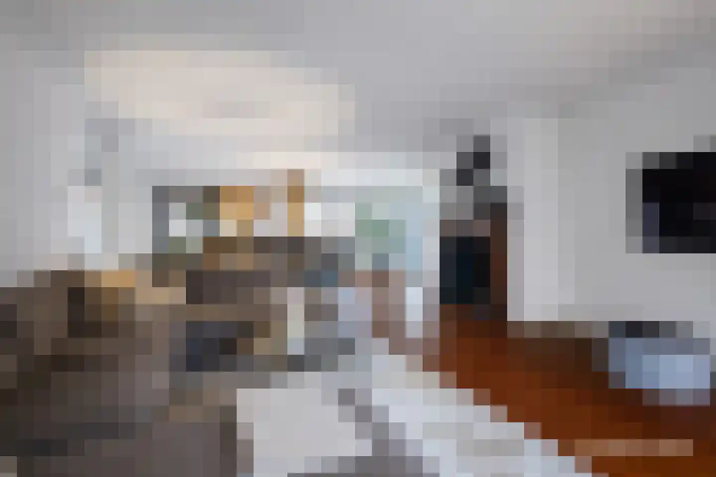 Brinkstraat 30 A Losser thumbnail 13