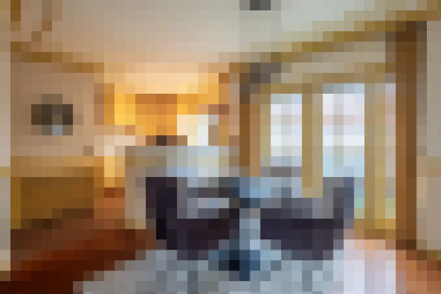 Brinkstraat 30 A Losser thumbnail 23