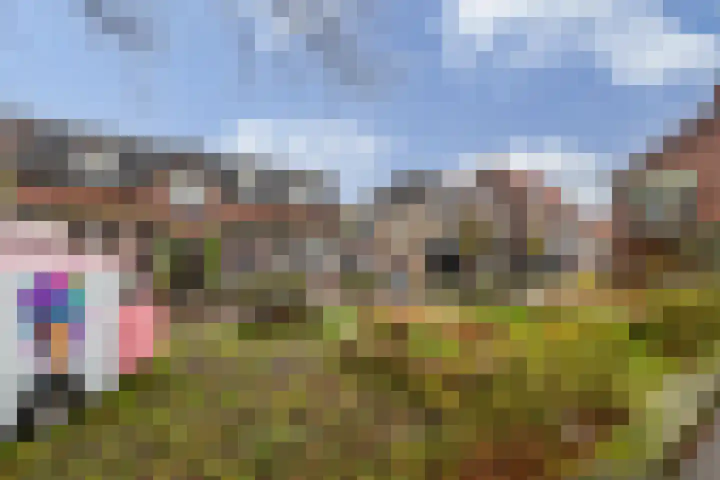 Brinkstraat 30 A Losser thumbnail 52