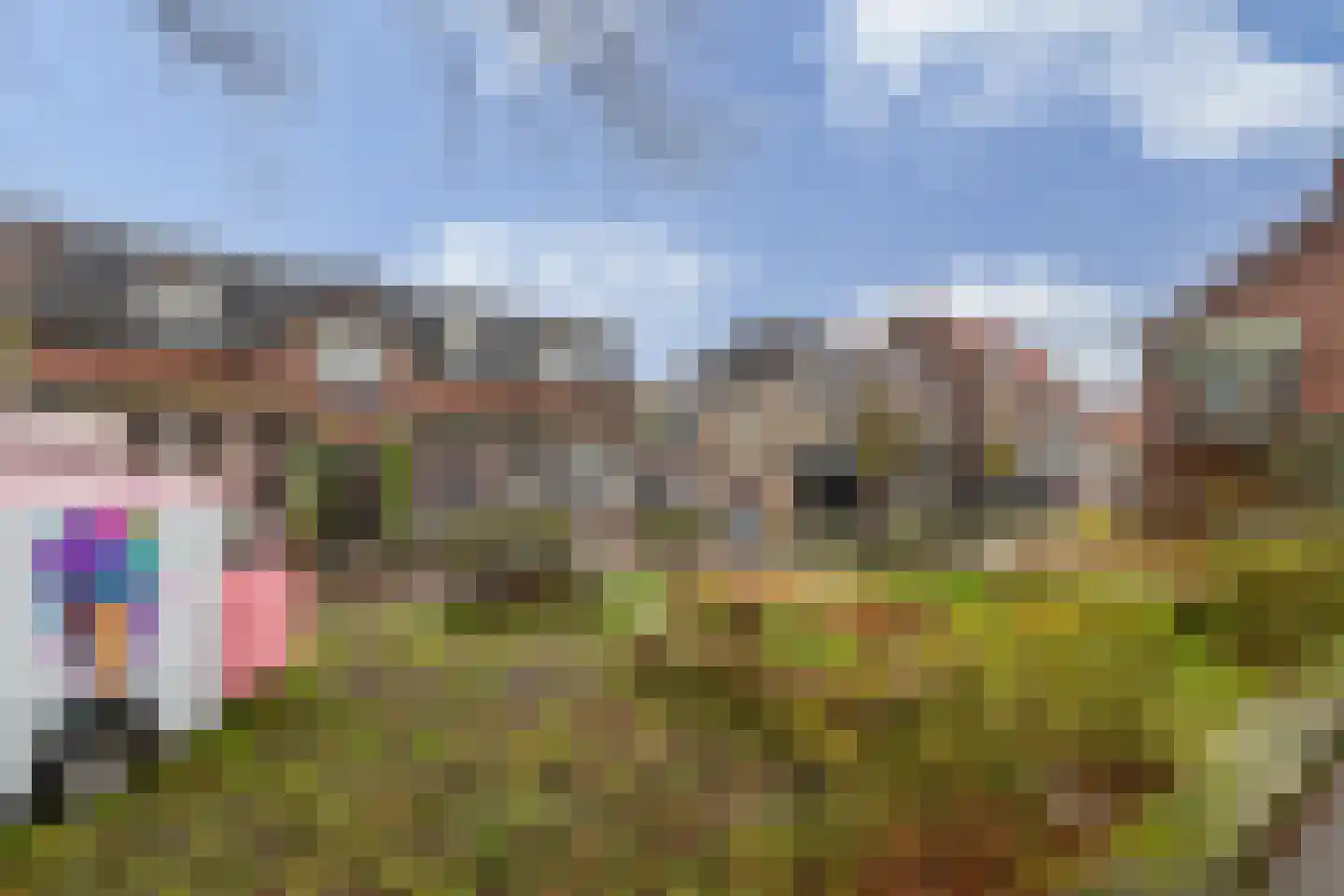 Brinkstraat 30 A Losser thumbnail 54