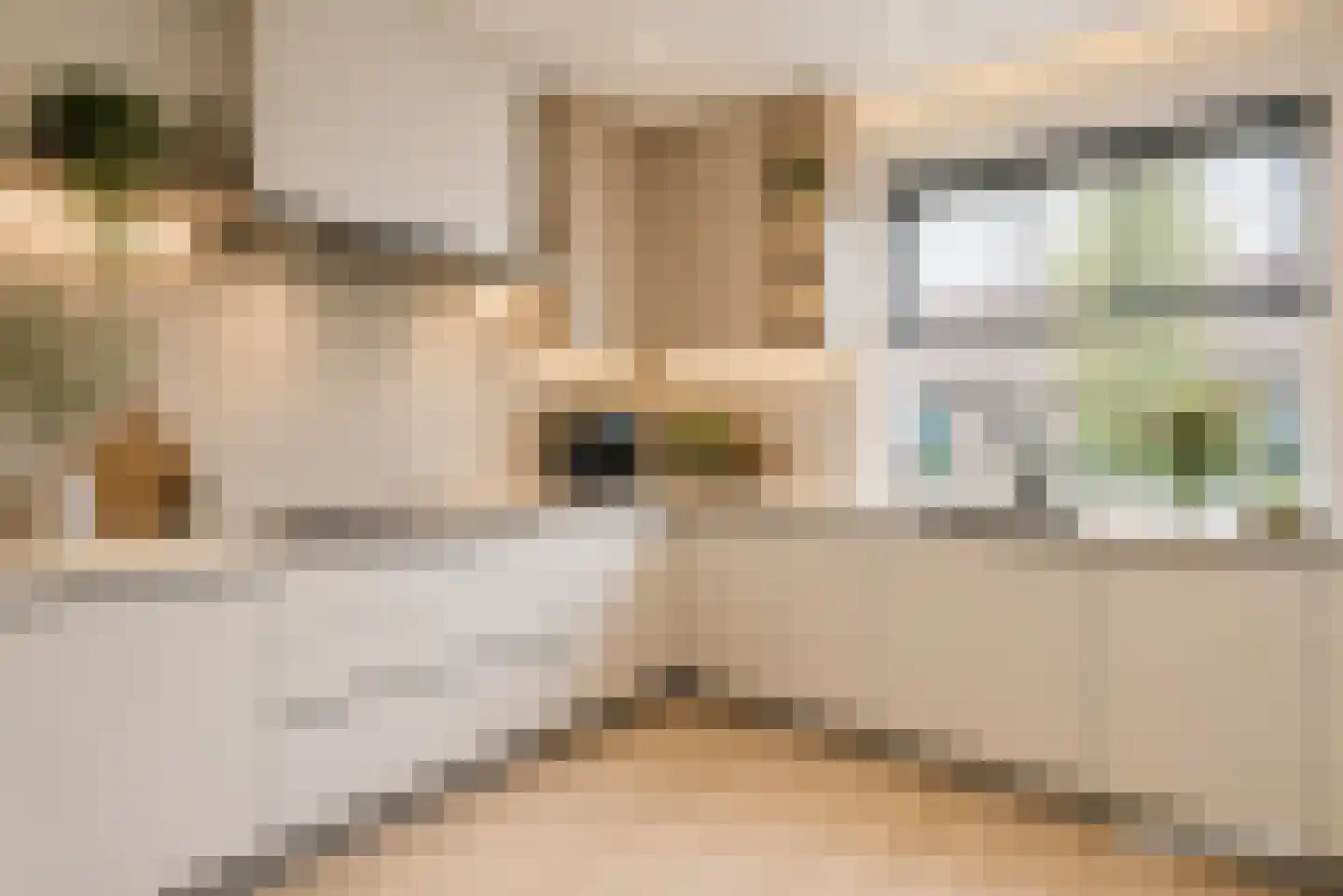 Brinkstraat 30 A Losser thumbnail 6