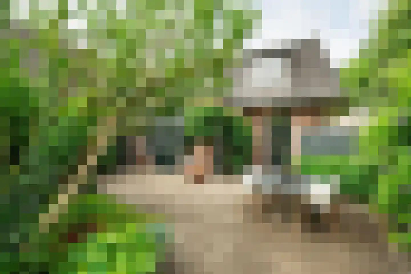Brinkstraat 36 Bennekom thumbnail 37