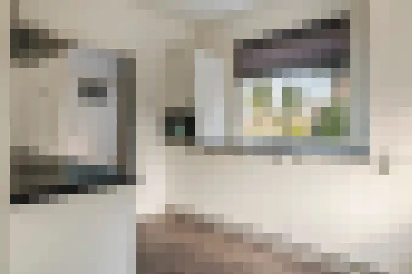 Brinkstraat 4 a Lienden thumbnail 18