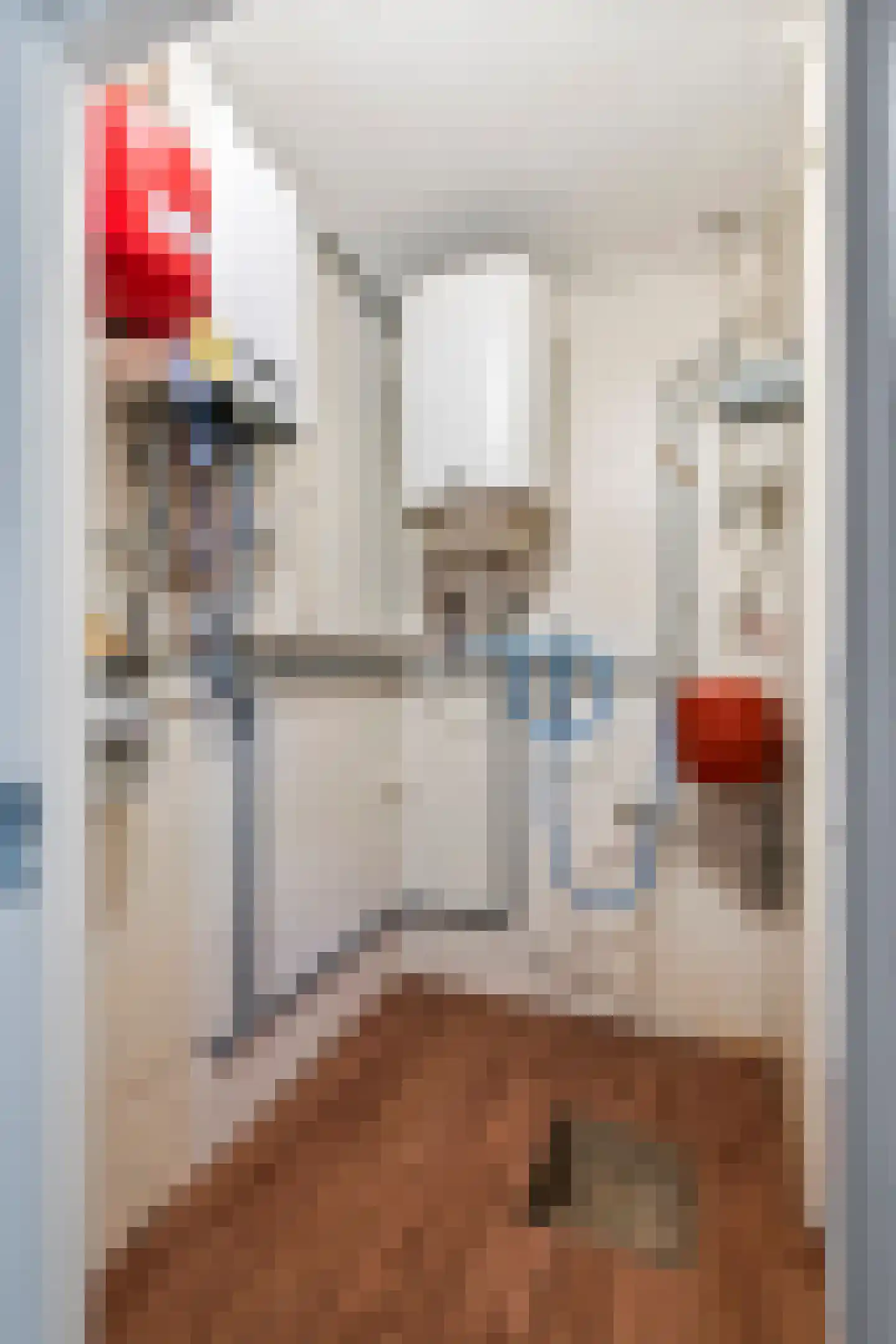 Brinkstraat 4 a Lienden thumbnail 23