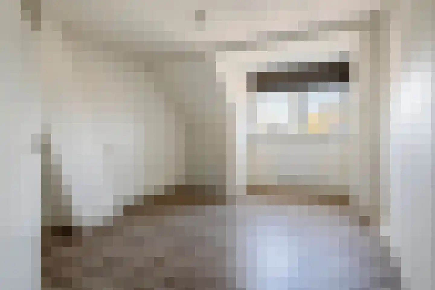 Brinkstraat 4 a Lienden thumbnail 29