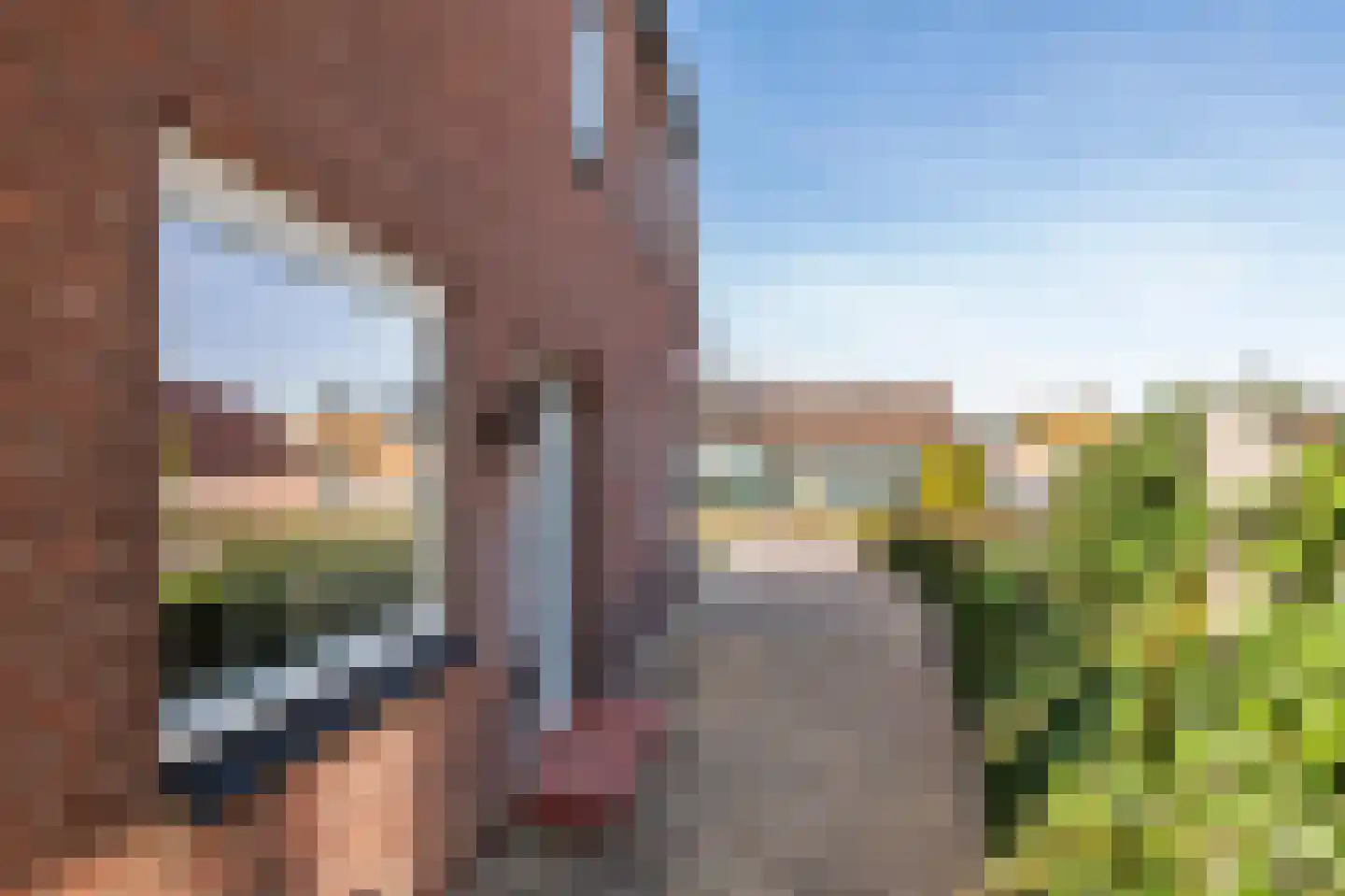 Brinkstraat 4 a Lienden thumbnail 39