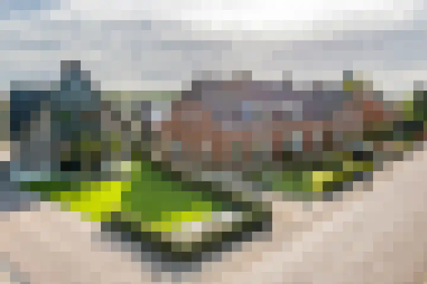 Brinkstraat 4 a Lienden thumbnail 7