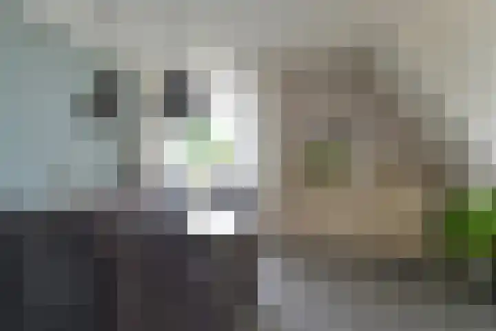 Brinkstraat 41 Hoogeveen thumbnail 36