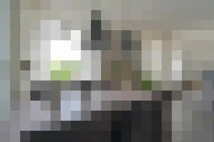 Brinkstraat 41 Hoogeveen thumbnail 37