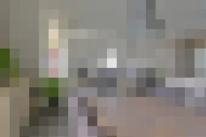 Brinkstraat 41 Hoogeveen thumbnail 38