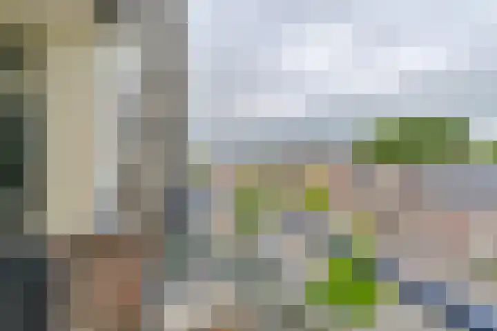 Brinkstraat 41 Hoogeveen thumbnail 49