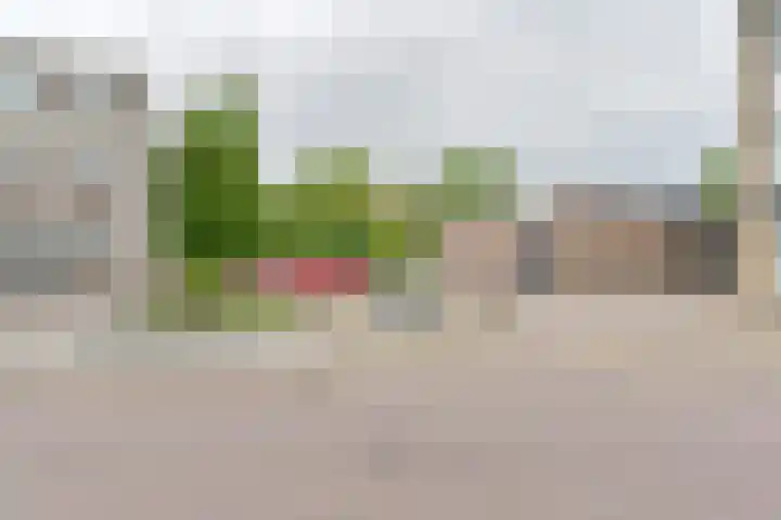Brinkstraat 41 Hoogeveen thumbnail 52