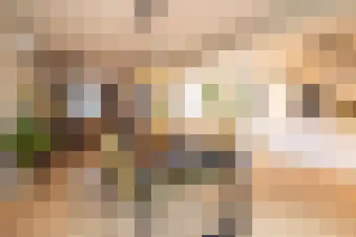 Brinkstraat 420 Enschede thumbnail 18