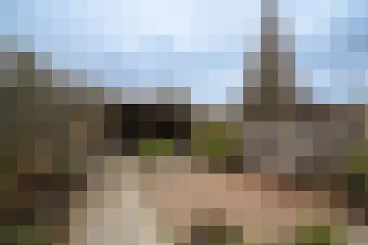 Brinkstraat 420 Enschede thumbnail 28