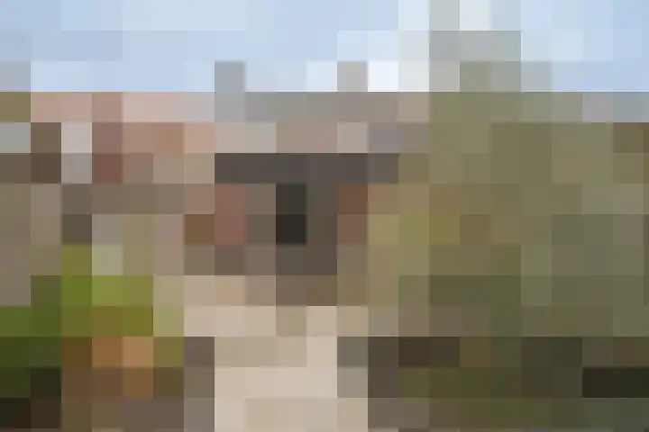 Brinkstraat 420 Enschede thumbnail 32