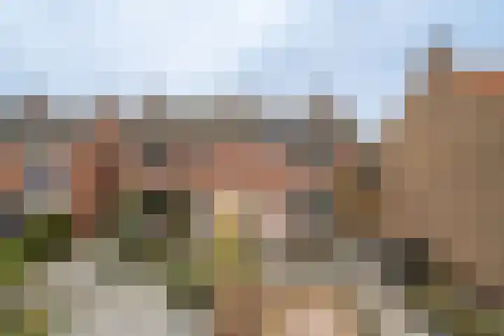 Brinkstraat 420 Enschede thumbnail 33