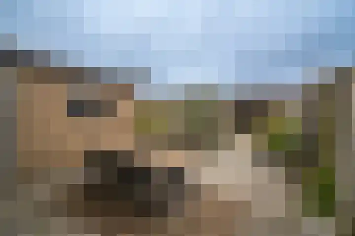 Brinkstraat 420 Enschede thumbnail 4