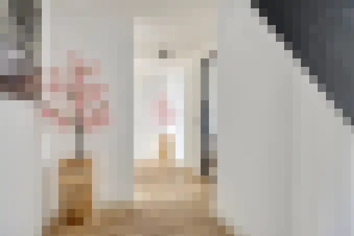 Brinkstraat 43 Hoogeveen thumbnail 8