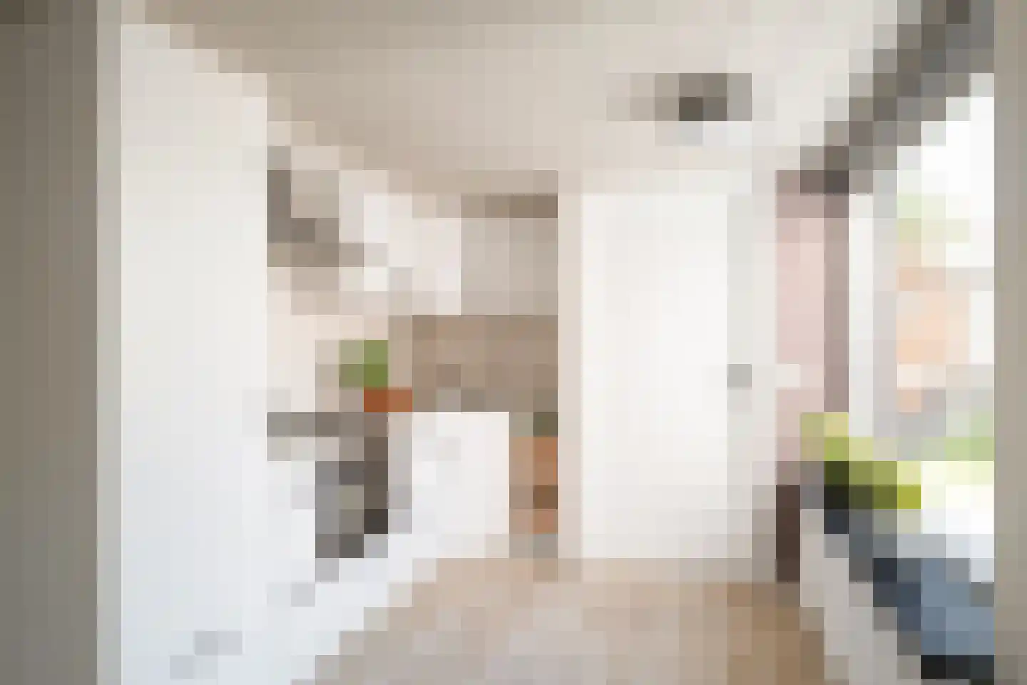 Brinkstraat 48 Losser thumbnail 11