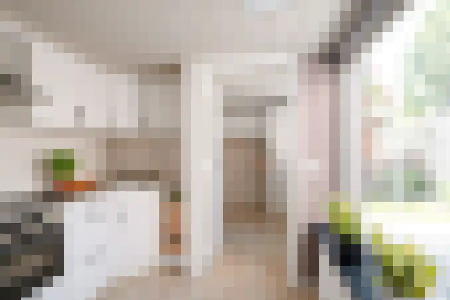 Brinkstraat 48 Losser thumbnail 12