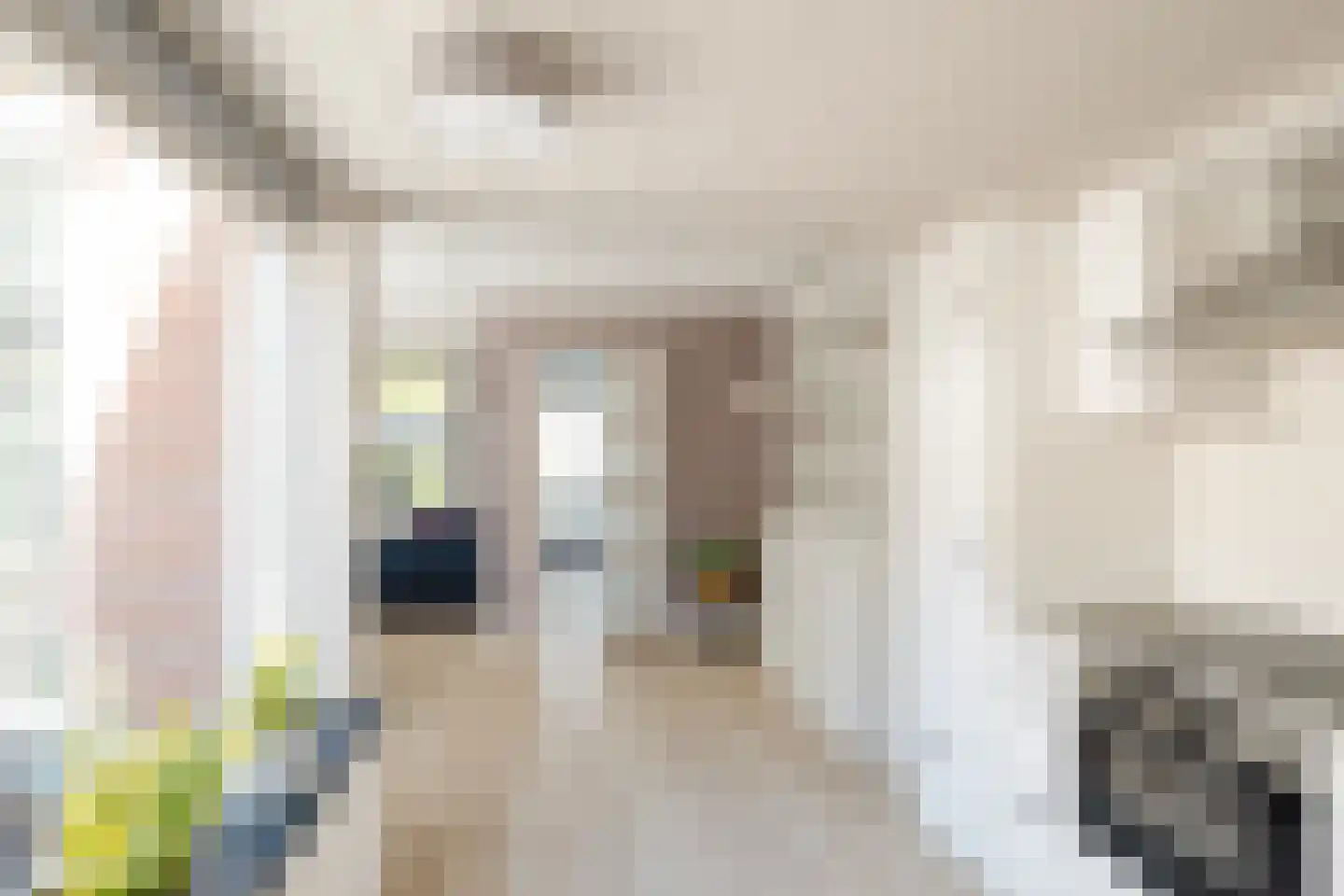 Brinkstraat 48 Losser thumbnail 13