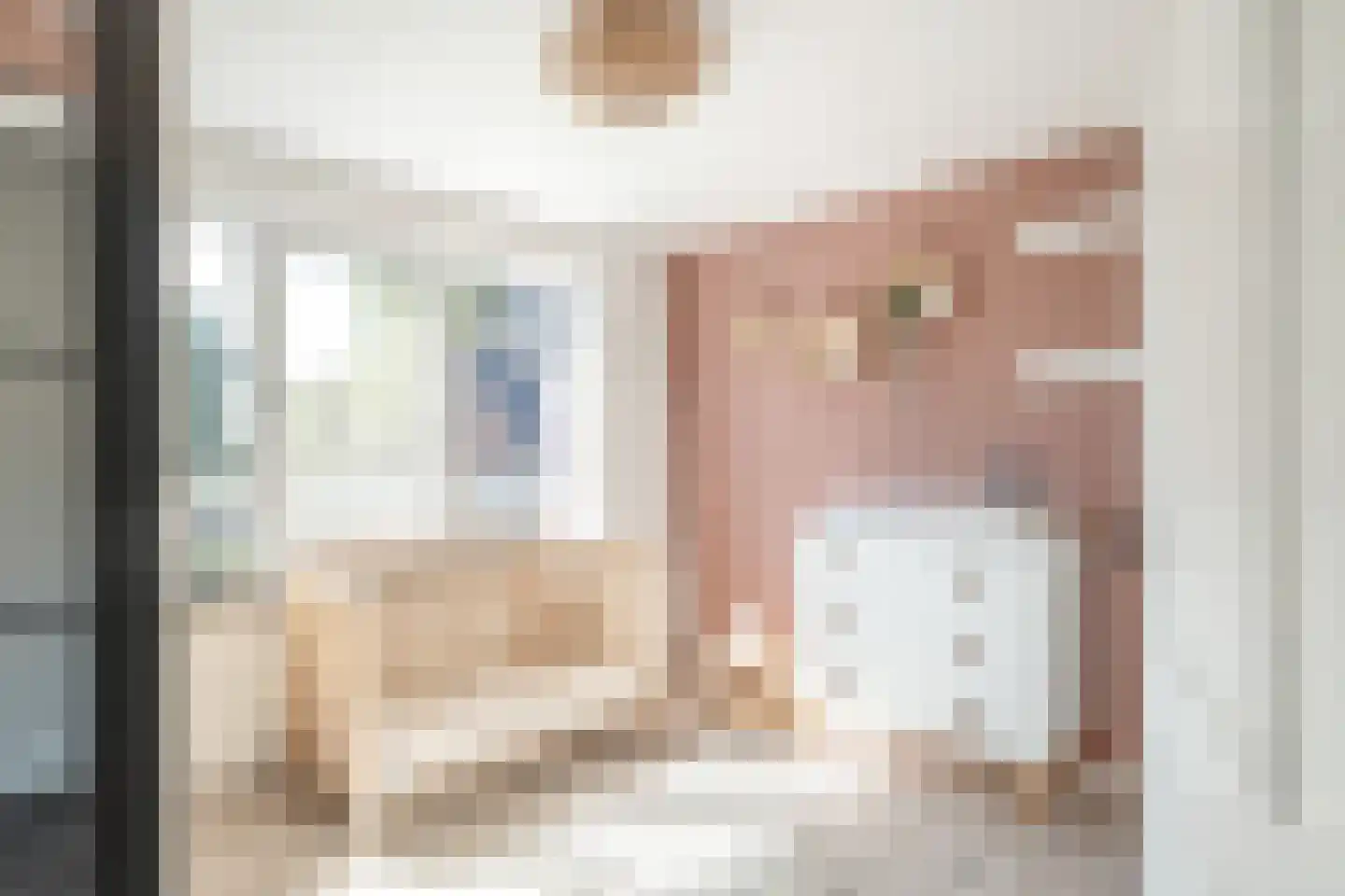 Brinkstraat 48 Losser thumbnail 20