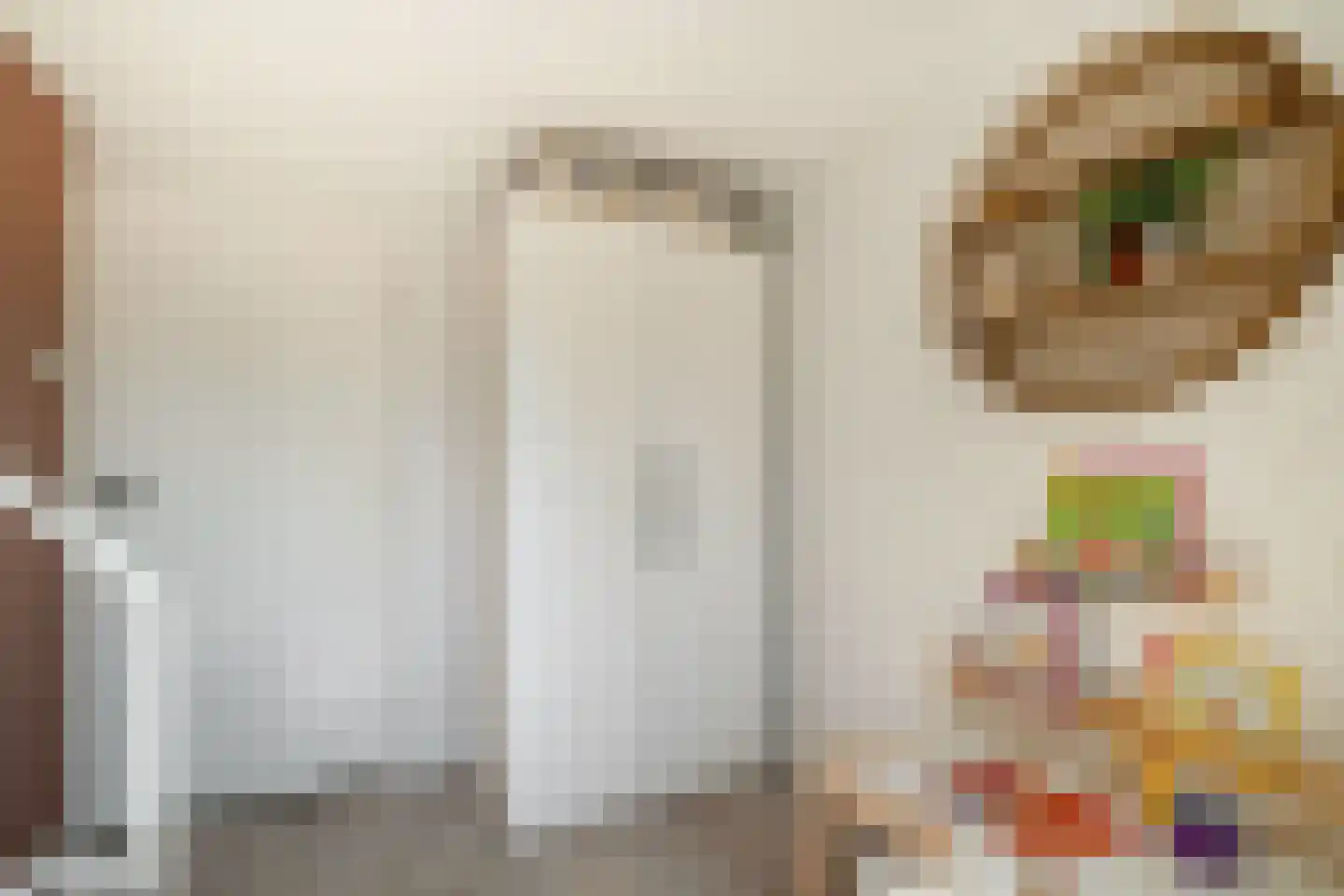 Brinkstraat 48 Losser thumbnail 25