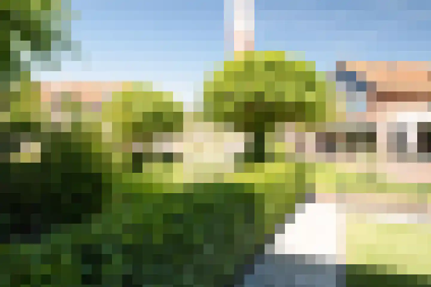 Brinkstraat 48 Losser thumbnail 34