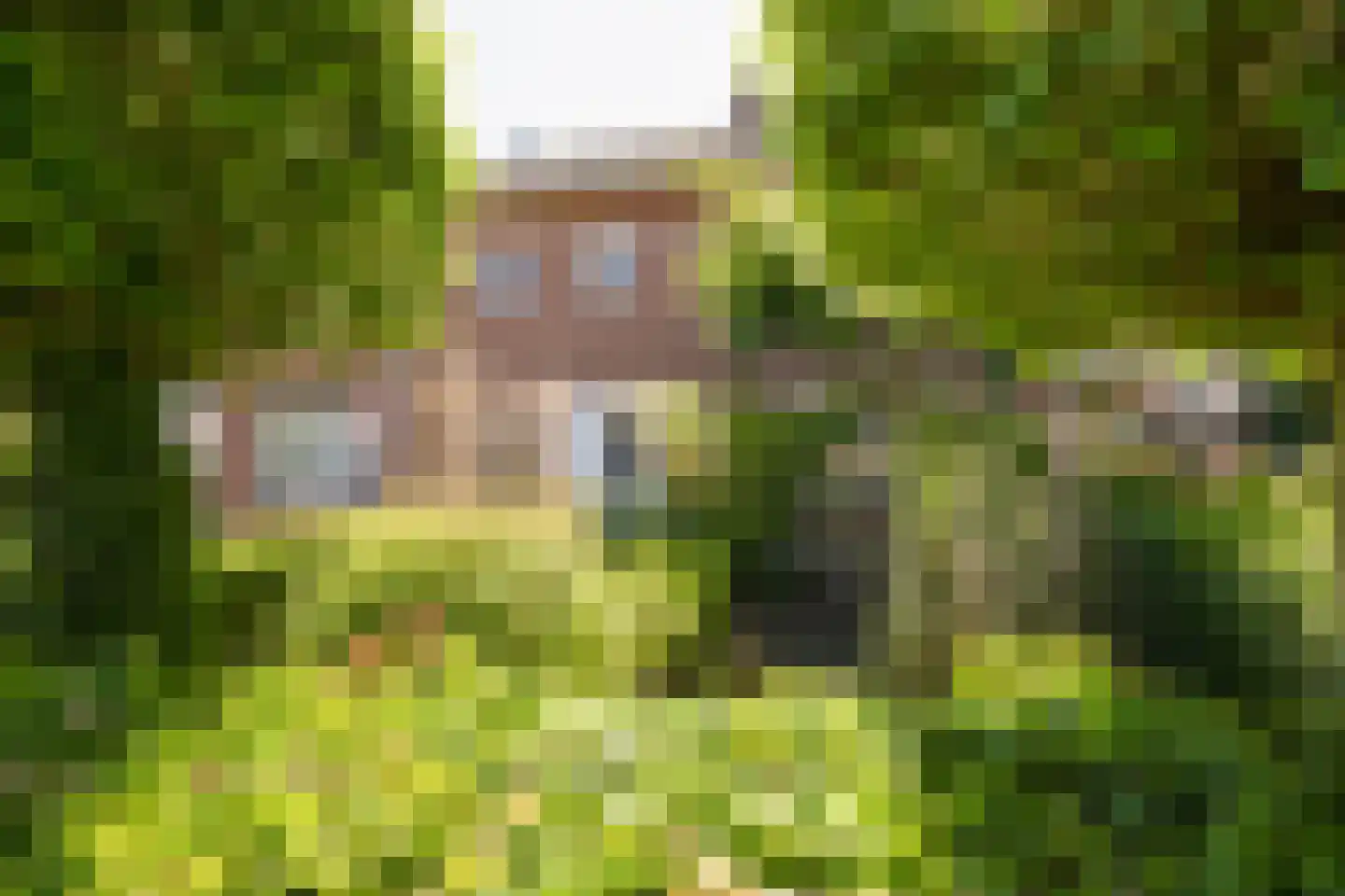 Brinkstraat 48 Losser thumbnail 4