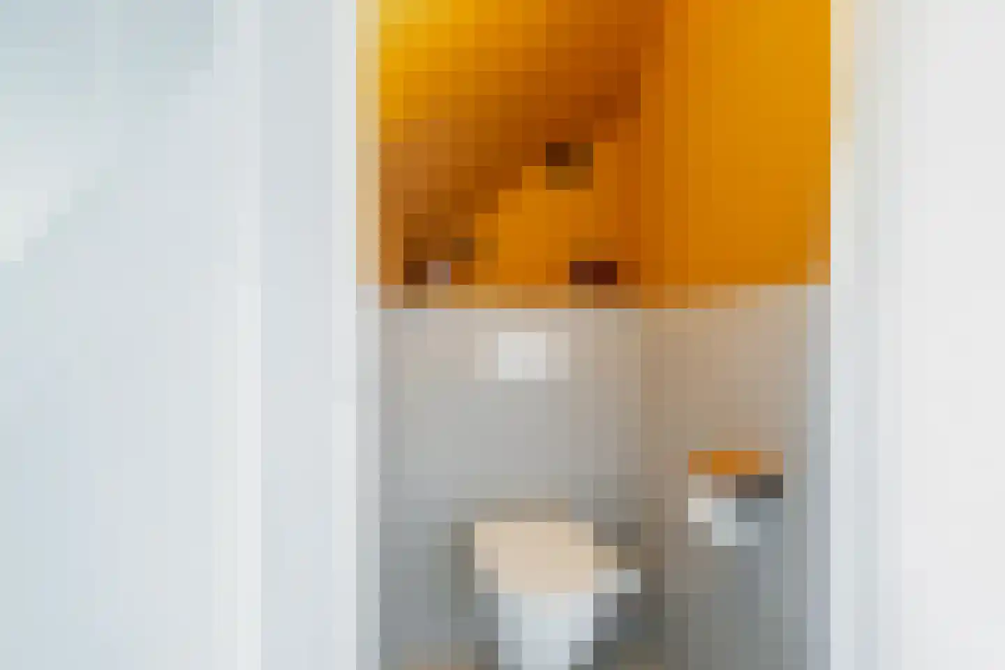 Brinkstraat 48 Losser thumbnail 7