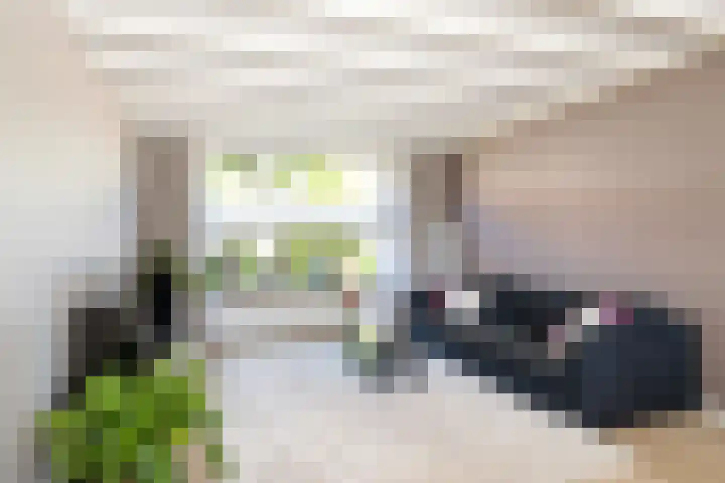 Brinkstraat 48 Losser thumbnail 9