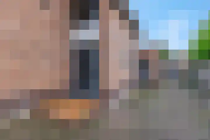 Brinkstraat 49 Putten thumbnail 8