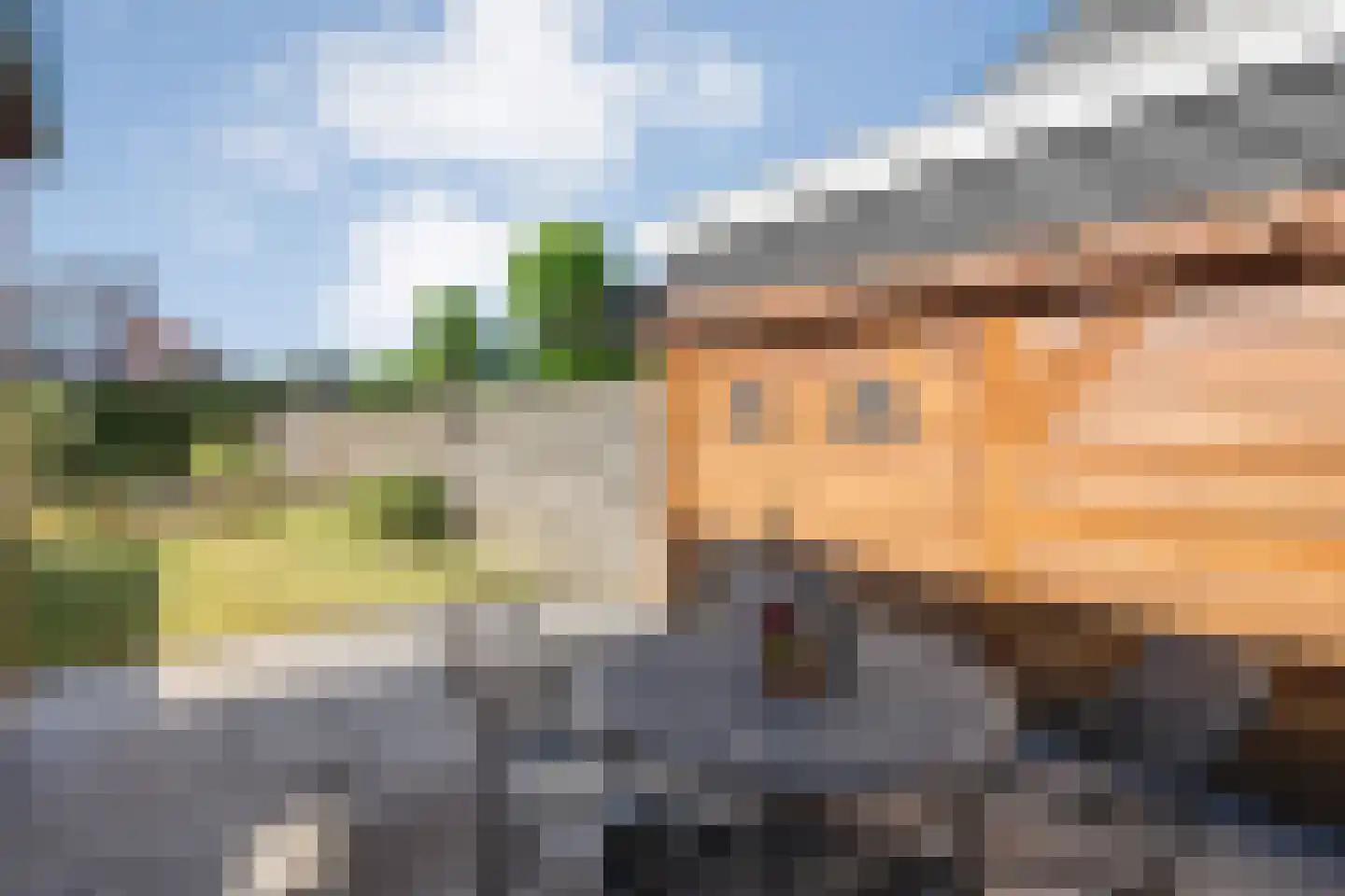 Brinkstraat 5 Reutum thumbnail 22