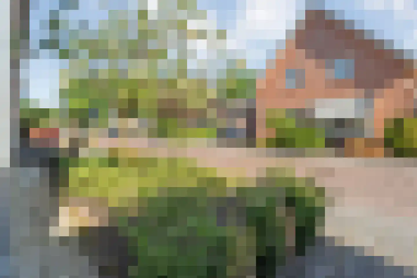 Brinkstraat 5 Reutum thumbnail 25