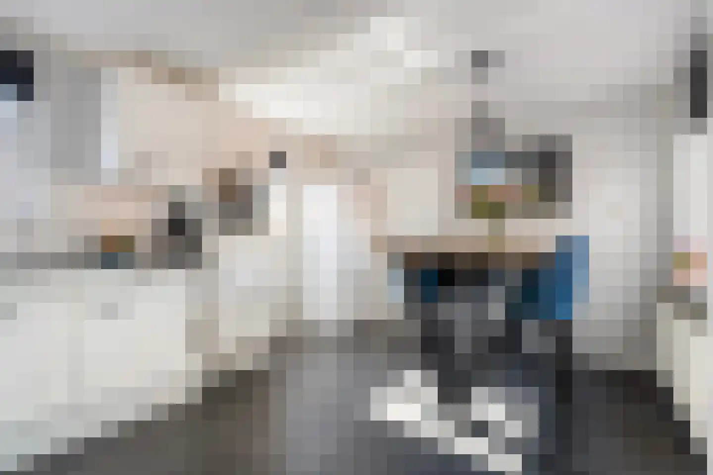 Brinkstraat 5 Reutum thumbnail 6
