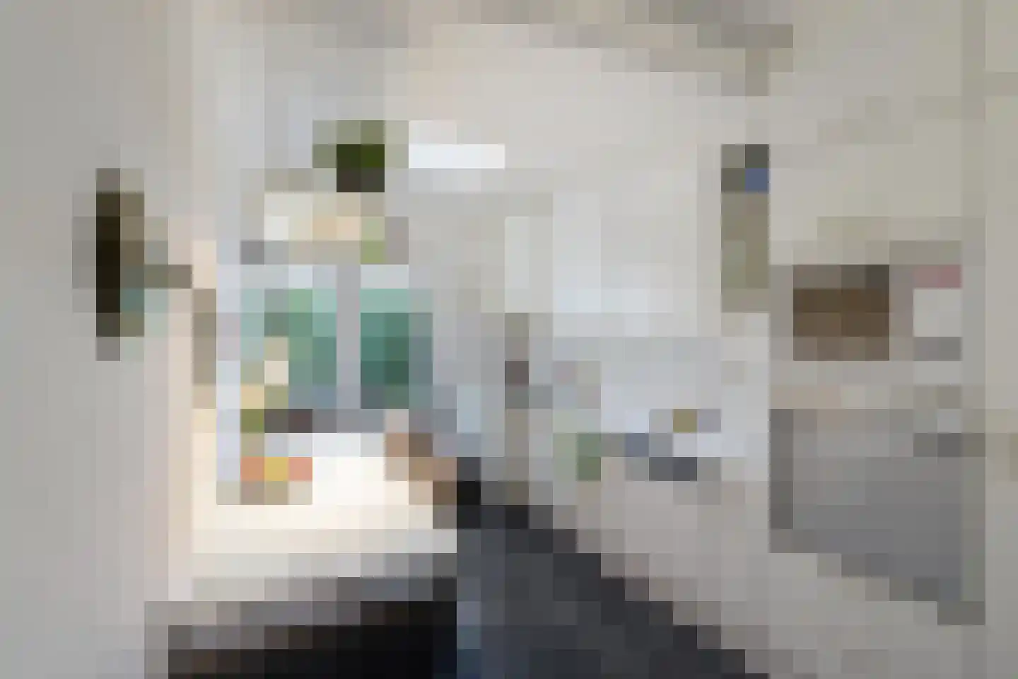 Brinkstraat 6 A Zuidlaren thumbnail 21