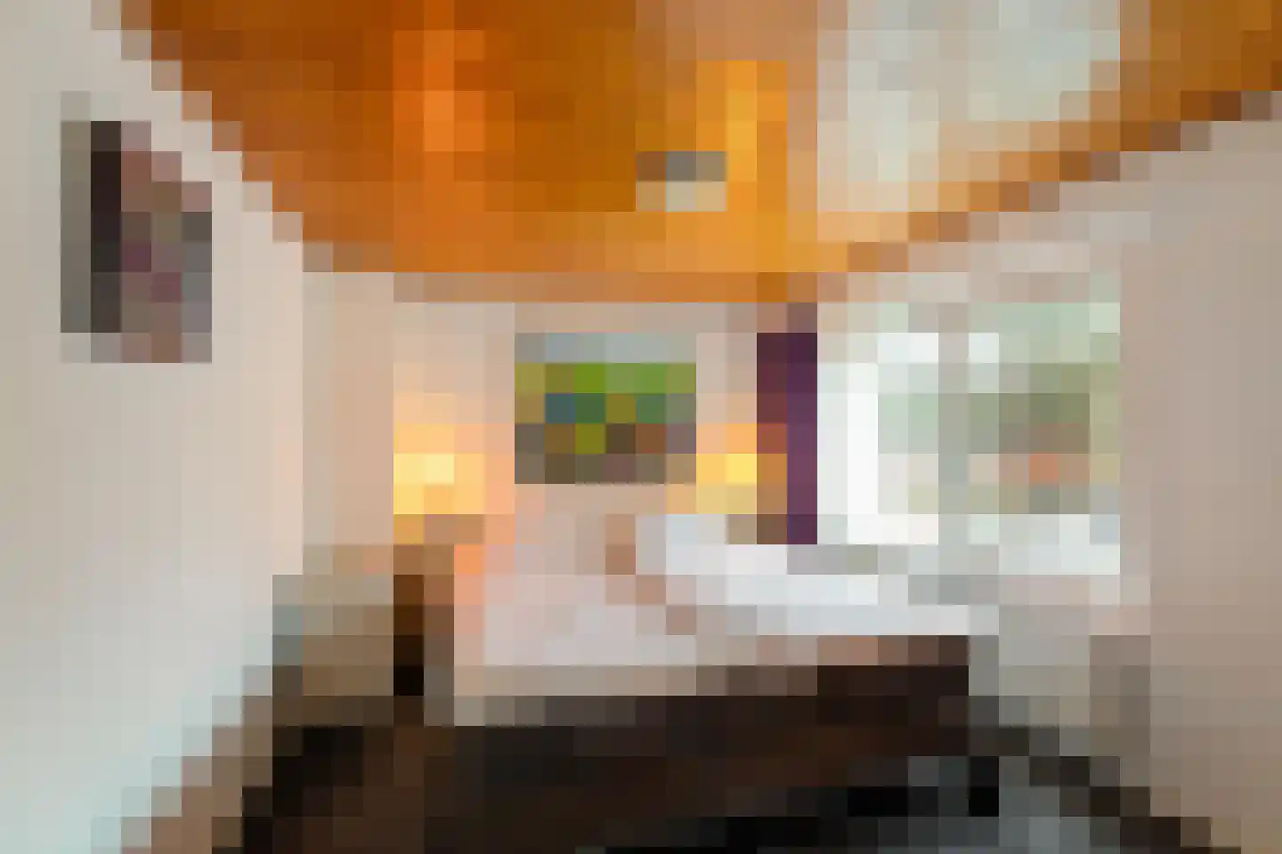 Brinkstraat 6 A Zuidlaren thumbnail 36