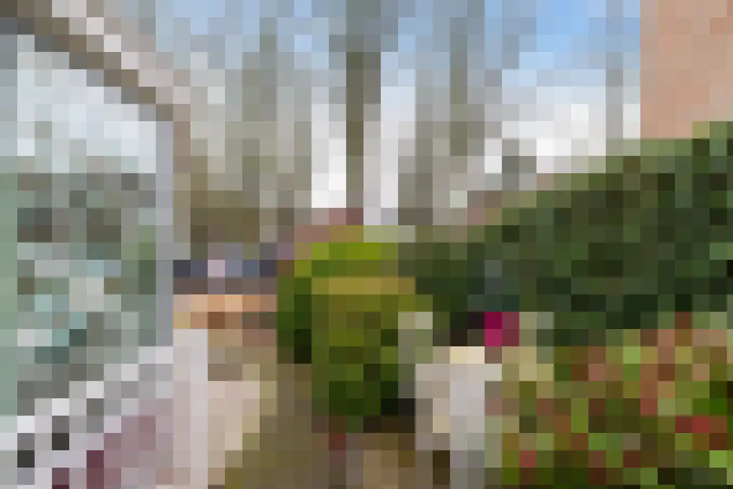 Brinkstraat 6 A Zuidlaren thumbnail 44