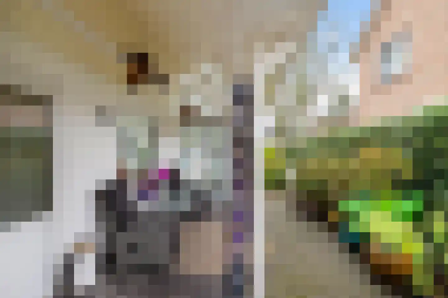 Brinkstraat 6 A Zuidlaren thumbnail 45
