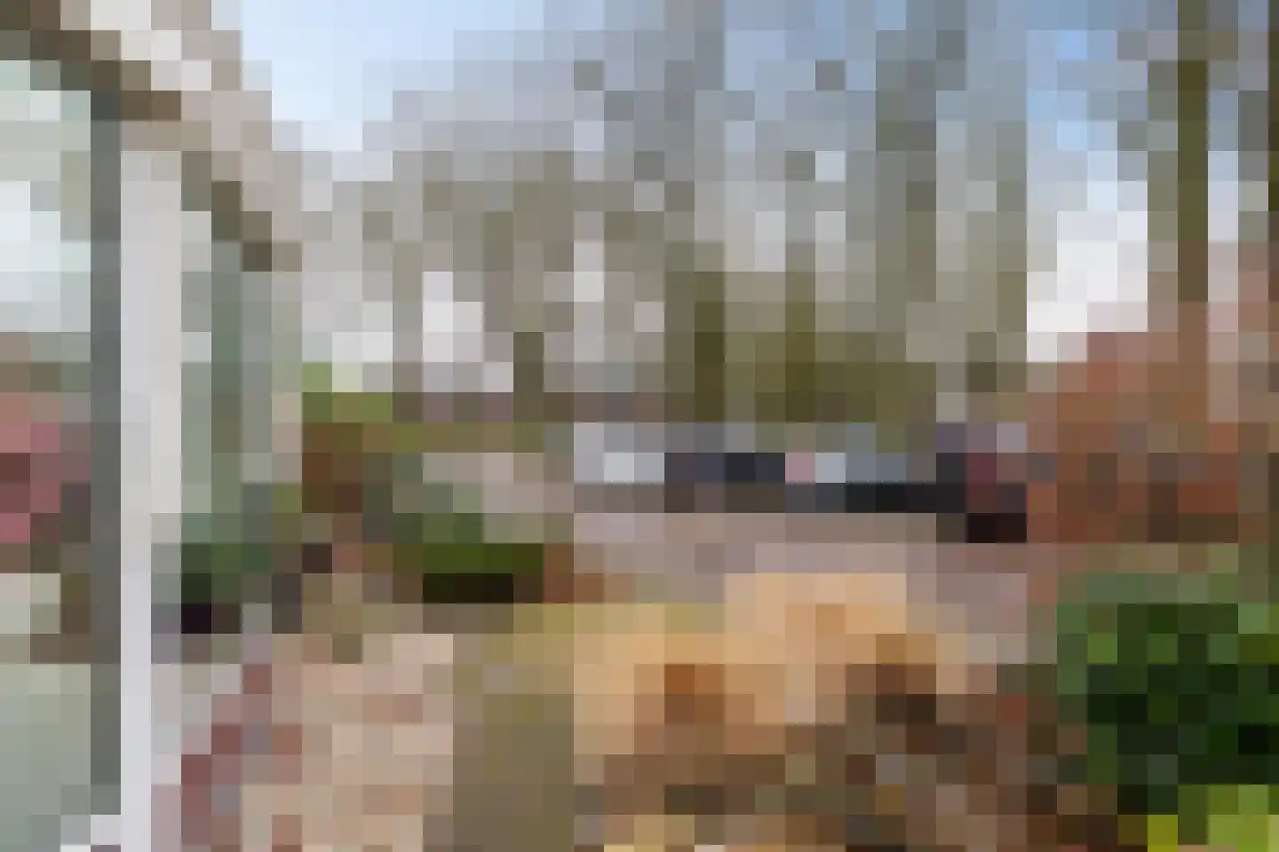 Brinkstraat 6 A Zuidlaren thumbnail 51